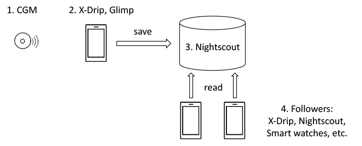 CGM-Devices Integration Scheme
